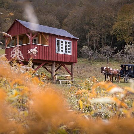 Valea Verde Retreat Transilvania Cund エクステリア 写真