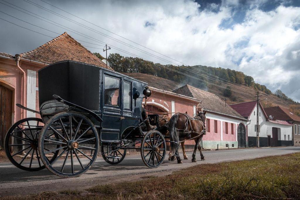 Valea Verde Retreat Transilvania Cund エクステリア 写真