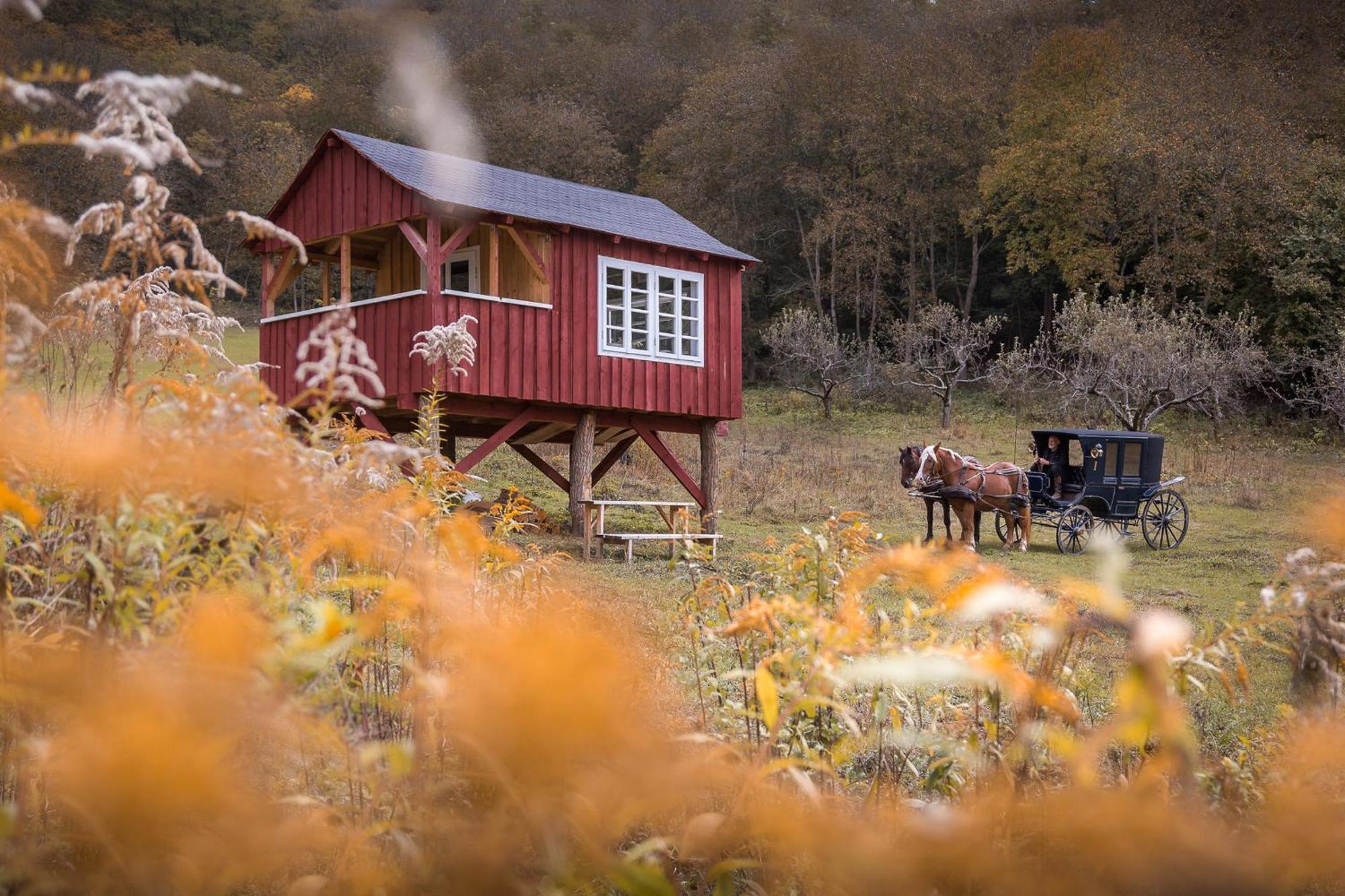 Valea Verde Retreat Transilvania Cund エクステリア 写真
